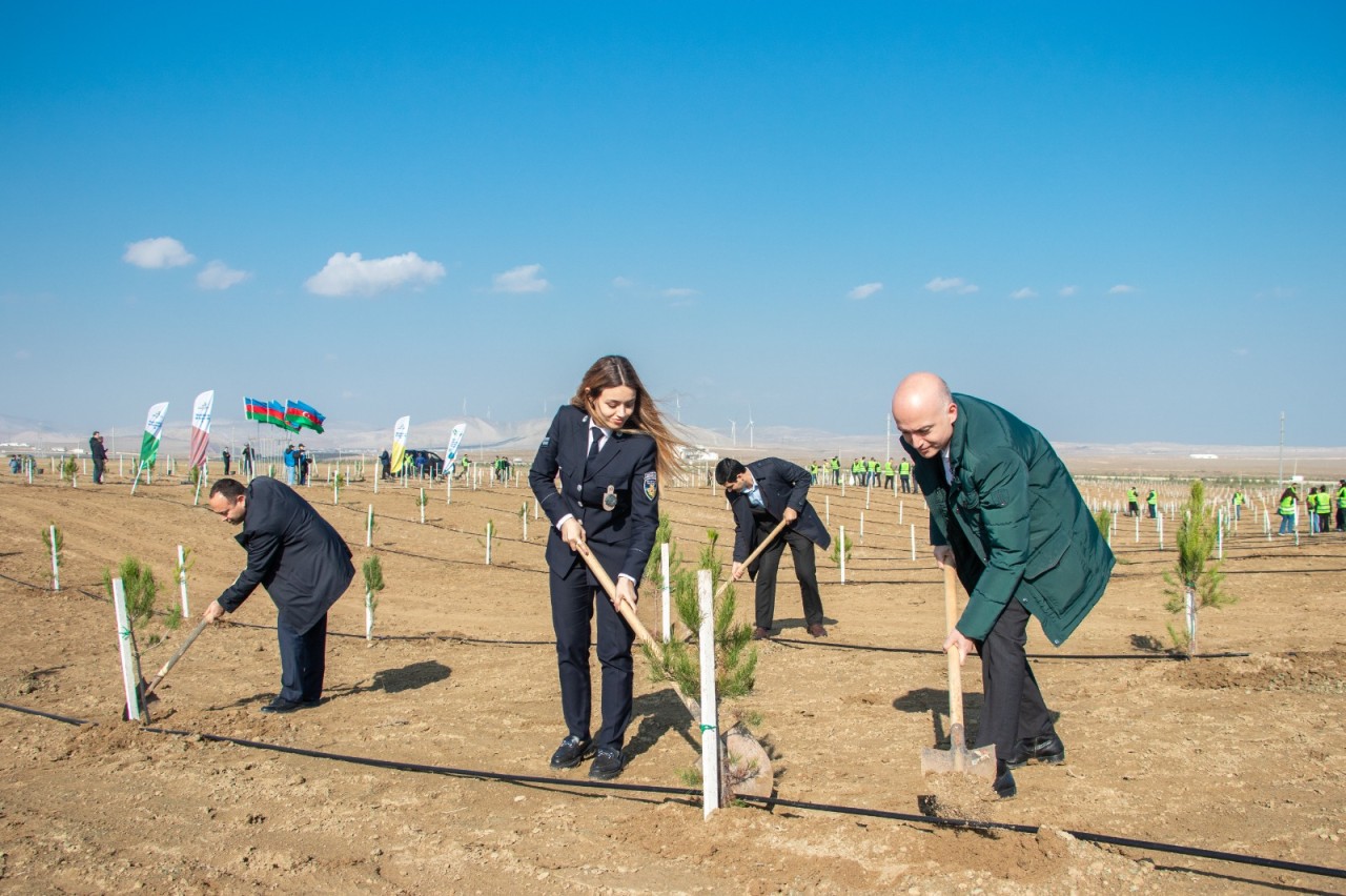 Zəfər Günü ilə əlaqədar ağacəkmə aksiyası keçirildi - FOTOLAR